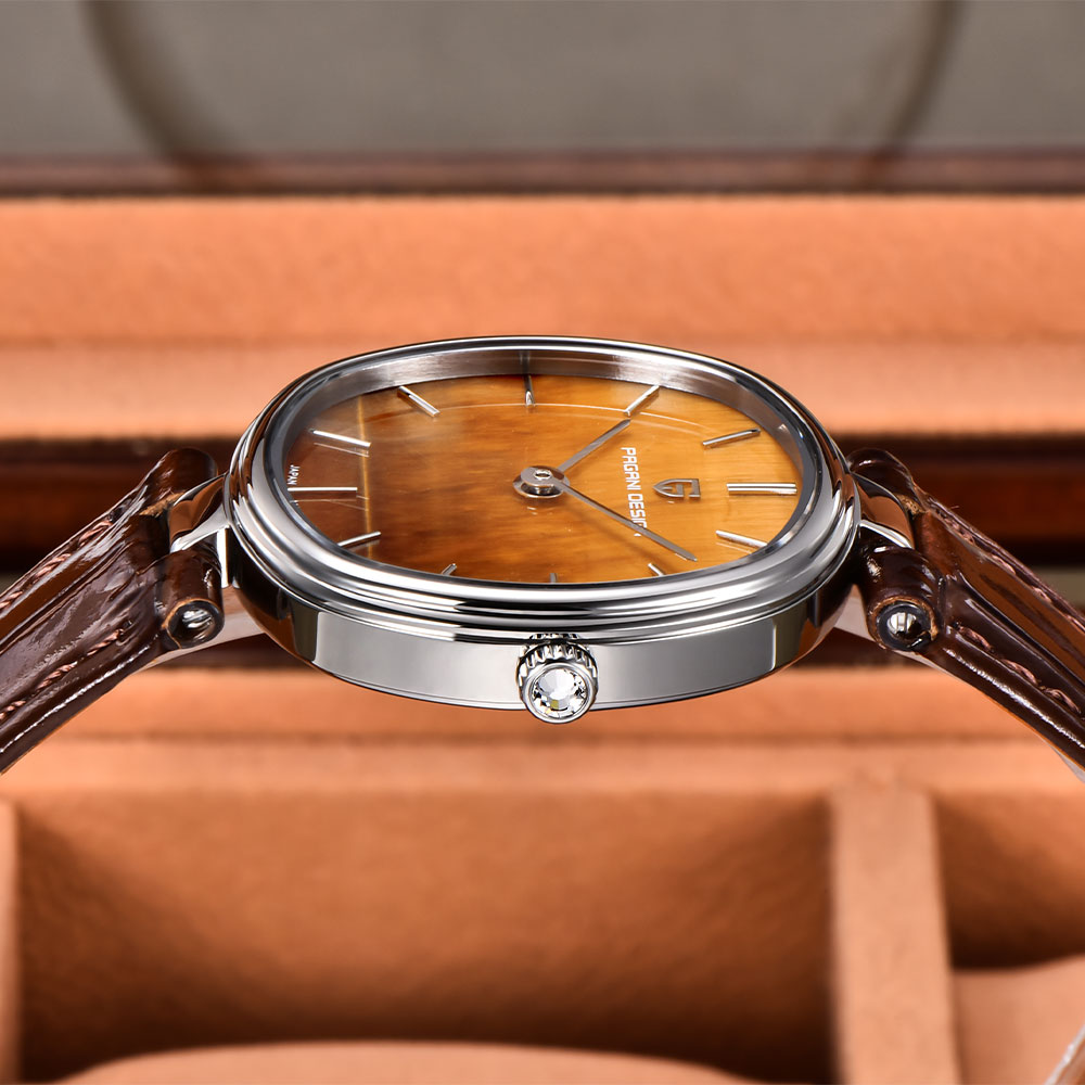 PAGANI DESIGN 2026 New Quartz  - огляд і ціна Ladies Fashion Watch